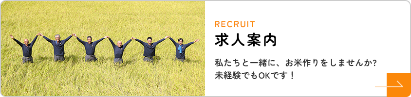 求人案内